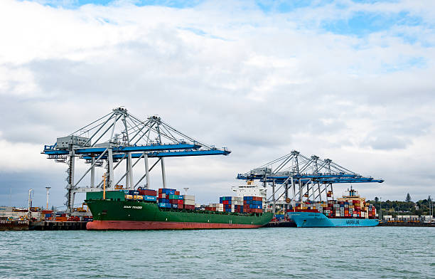 containerschiffe und kräne in auckland, neuseeland - harbor editorial industrial ship container ship stock-fotos und bilder