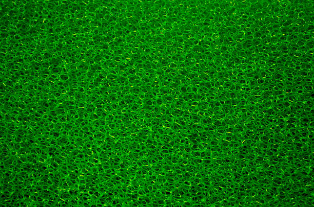 istock porous green background plastic rings 615427704