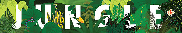 ilustrações, clipart, desenhos animados e ícones de folhagens tropicais. fundo de design floral.vetor jungle rainforest banner - outdoors beauty beauty in nature beautiful