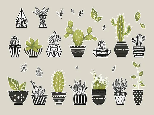 Vector illustration of Cute cacti, flowerpots.