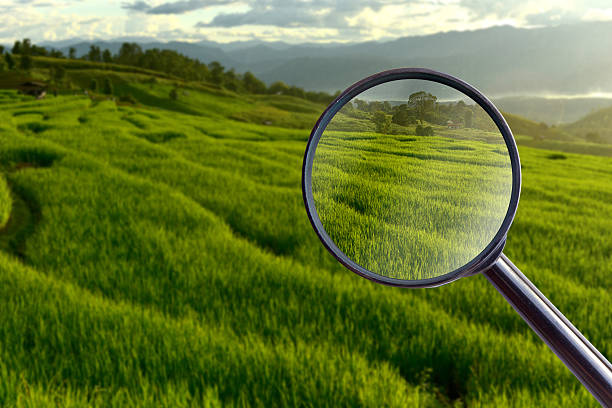 istock maginfier glass. Terraced rice field on Mountain, 615480372