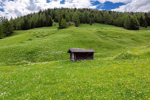 istock Green summer alp with a cottage 615481244