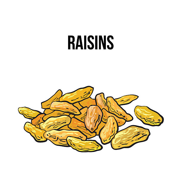 1,100+ Raisin Drawing Stock Illustrations, Royalty-Free Vector