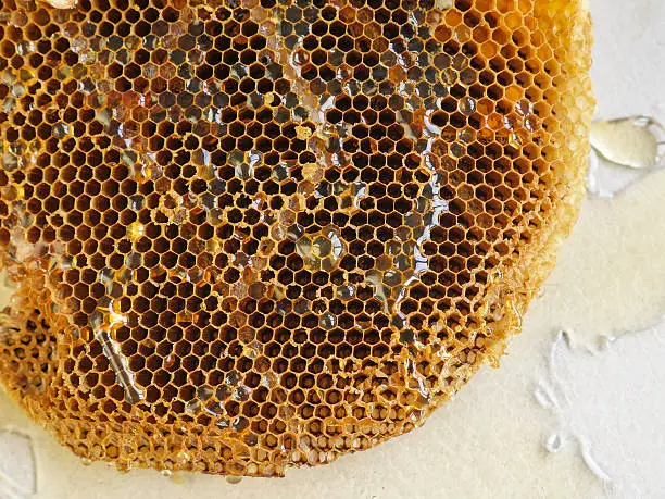 honeycomb with honey.