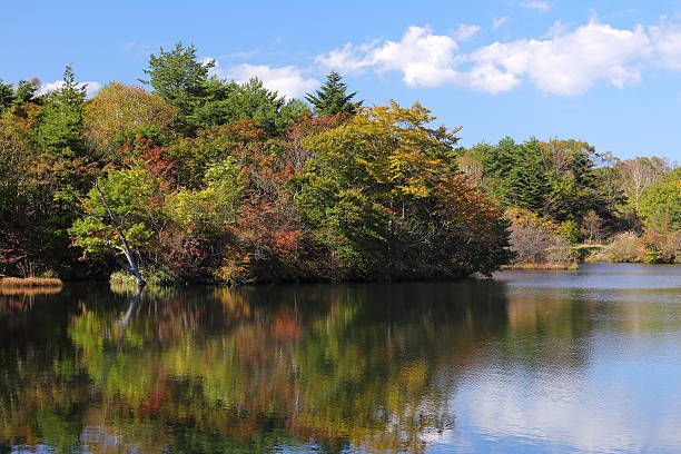 istock Autumn leaves of the lakeside 615482208