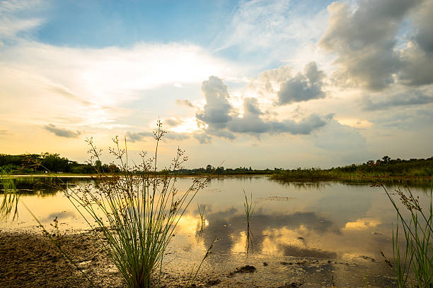 istock sunset on the lake landscape 615483488