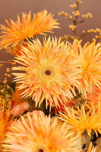 istock Close-up of flowers 615485856
