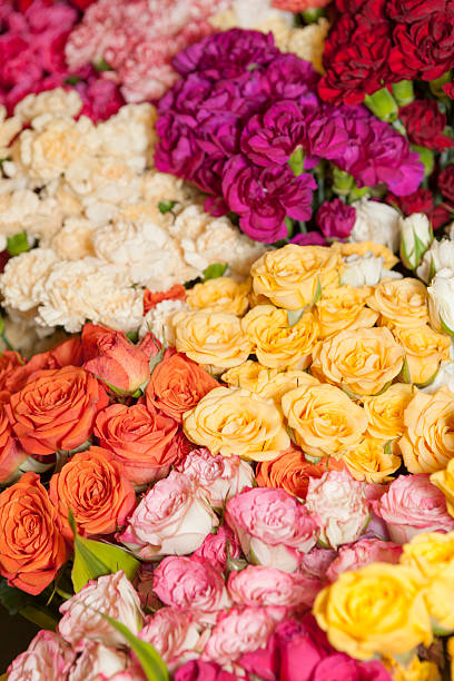 istock Close-up of flowers 615489876