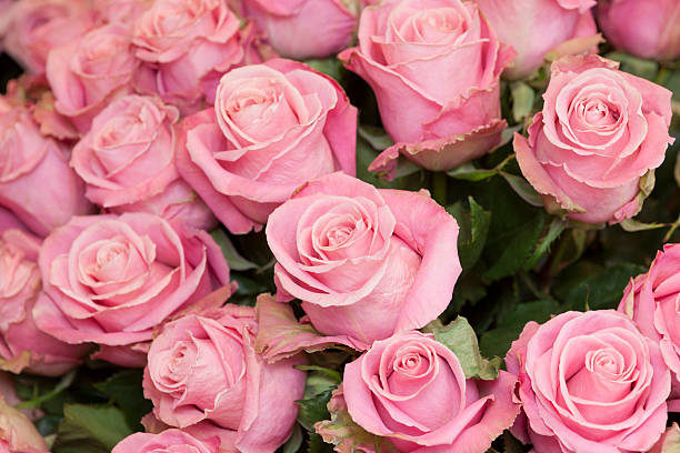 istock Close up of flowers 615489998