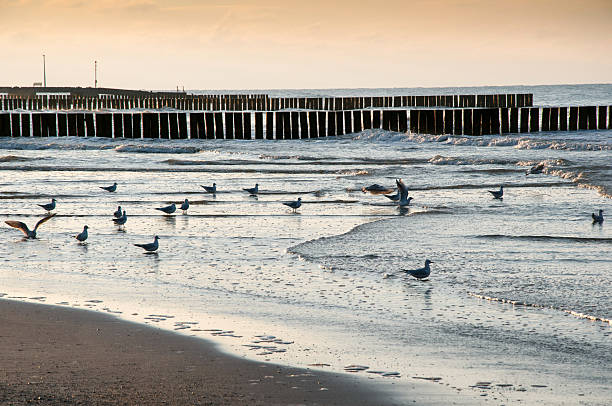 istock Sunset on the Baltic Sea 615490090