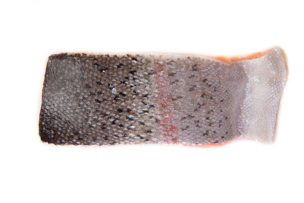 istock Salmon skin on white background 615491734