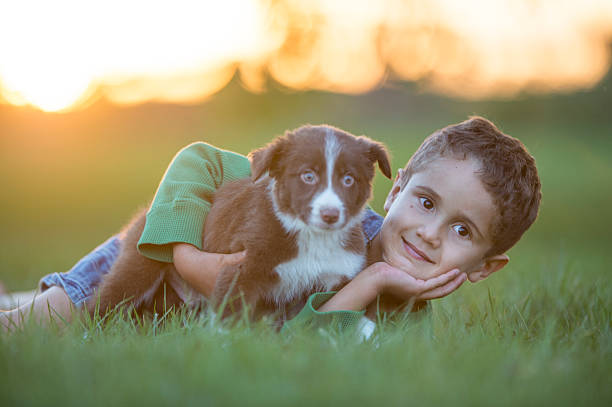 istock Dogs Make Great Friends 615492458