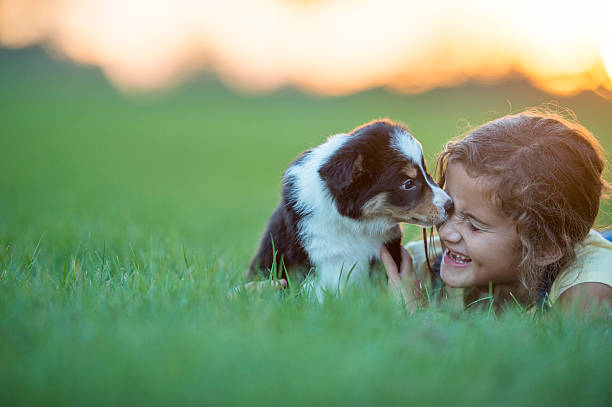 A girl plays with her puppy in a field at sunset during the summer. She smiles while holding the dog.