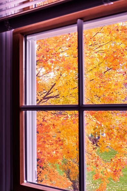 istock Autumn Yellow Orange Sugar Maple Tree Leaves Through Bedroom Window 615492494