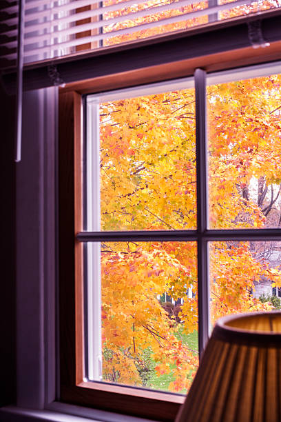 istock Bright Autumn Sugar Maple Tree Leaves Viewed Through Bedroom Window 615492874