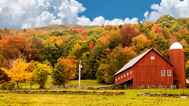 Red Barn Red Barn rhode island photos stock pictures, royalty-free photos & images