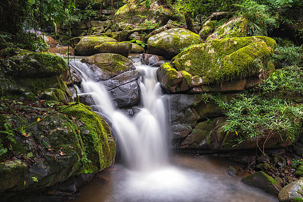 istock waterfall at Khun Nan National Park in Thailand . 615495508
