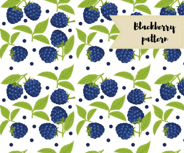 Vector illustration of vector blackberry seamless pattern. background, fabric design, wrapping paper, cover