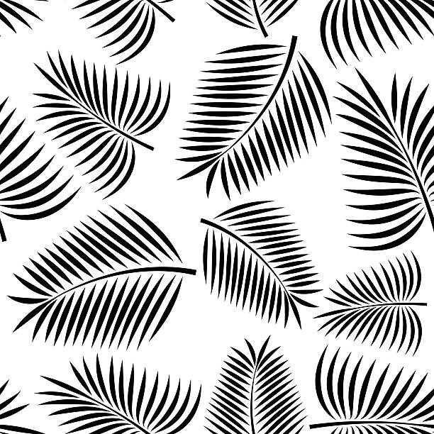 ilustrações, clipart, desenhos animados e ícones de palma sem emenda - tropical climate white background palm tree leaf