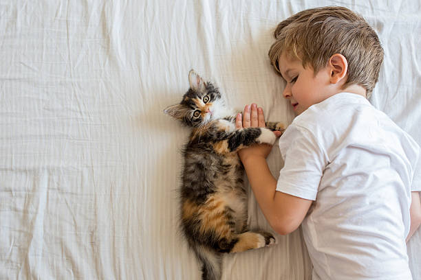 istock Above view of kitten and kid lying on the bed. 615501238