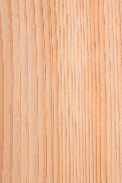 Close-up of wood grain