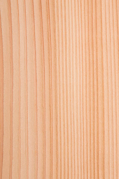 Close-up of wood grain Close-up of wood grain cryptomeria japonica stock pictures, royalty-free photos & images