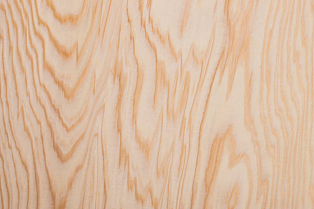 istock Close-up of wood grain 615504190