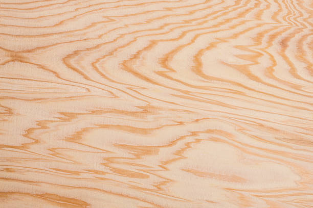 istock Close-up of wood grain 615504304