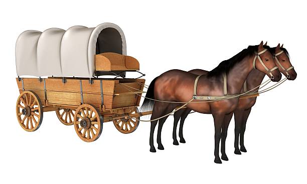 istock Horse carriage drawn by two horses 615504382