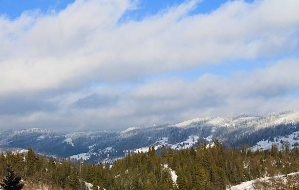istock Carpathian mountains in Ukraine. Winter landscape 615504670