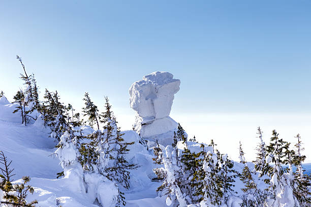 niezwykła skała otynkowana śniegiem. zimowy krajobraz leśny - south ural zdjęcia i obrazy z banku zdjęć