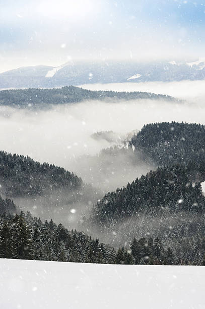 istock Snowy Look At The Valley 615508466