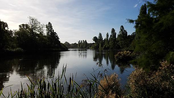 istock Pond in the Woods 615509570