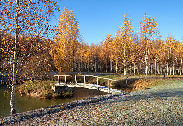 istock Bridge across the lake. 615510100