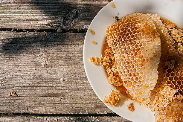 istock White plate with section of wax honeycomb from beehive 615510830