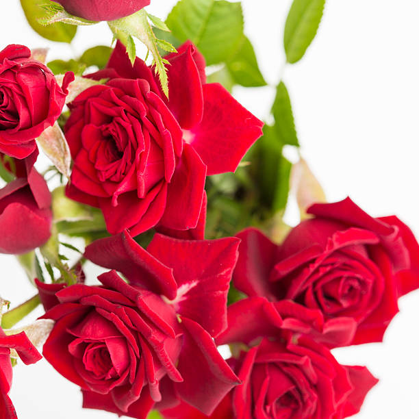istock Red love roses flowers bouquet on a white background 615513396