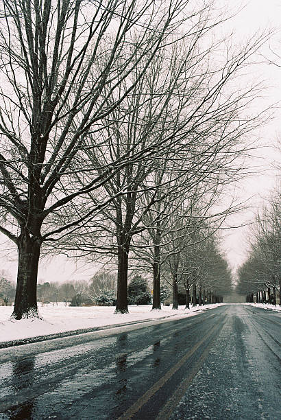 Tuileries Garden under snow
