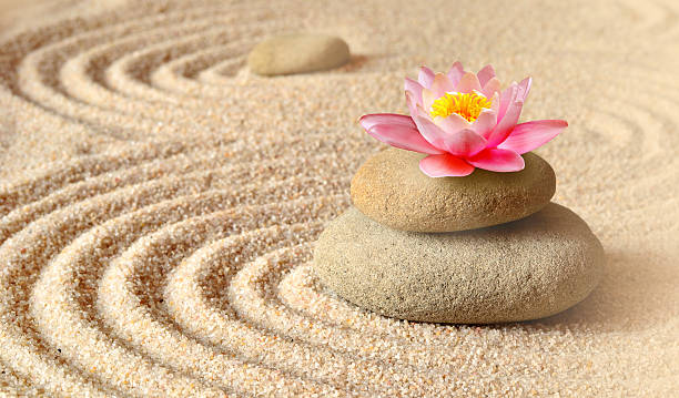 istock Sand, flower lily and spa stones in zen garden 615516690