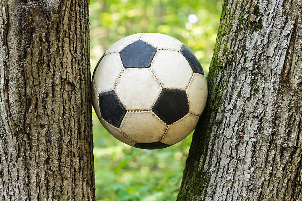 istock Old soccer ball in the trees. 615517410