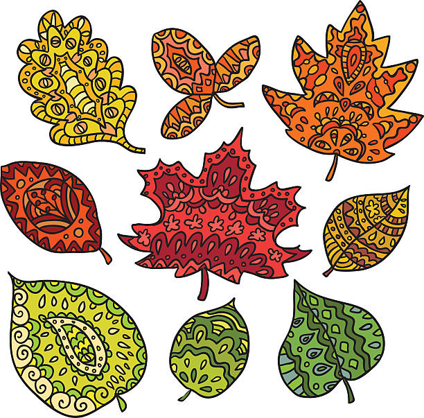 ilustraciones, imágenes clip art, dibujos animados e iconos de stock de hojas dibujadas a mano doodle vector - leafes fruit orange leaf