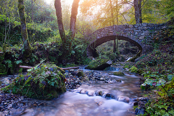 istock Small ancient bridge of rocks in a creek 615521414