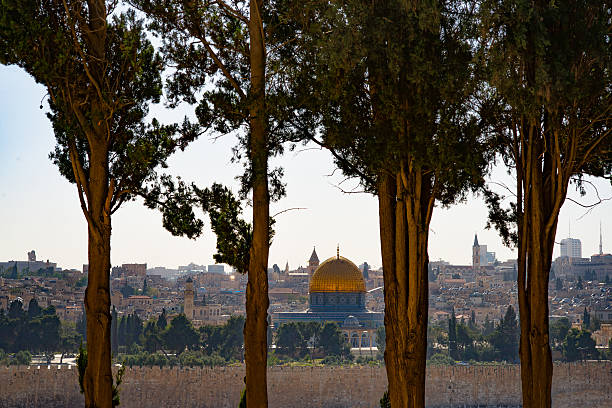 istock View of Jerusalem through the trees 615521720