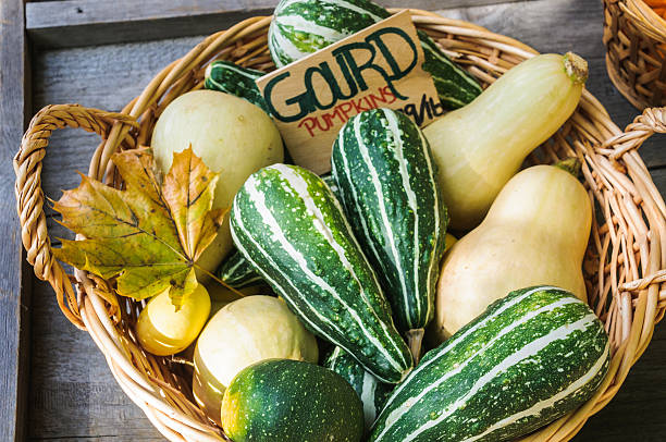 A basket filled with various fall gourds at a Cape Cod road side stand.
