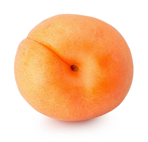 istock apricot isolated on the white background 615523574