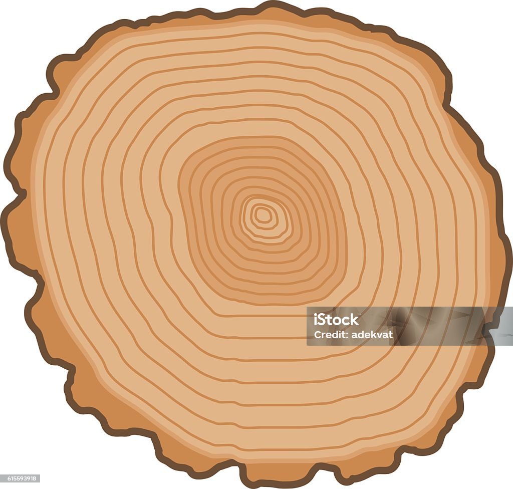 Tree Slicer Example Tree Slices Vector Isolated Stock Illustration - Download Image Now ...