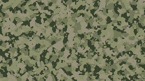 istock Abstract Military Camouflage texture Background. 615595664