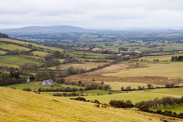 Valley view of Irish Hills and Sheep Farms in Meath County, Republic of Ireland, UK.