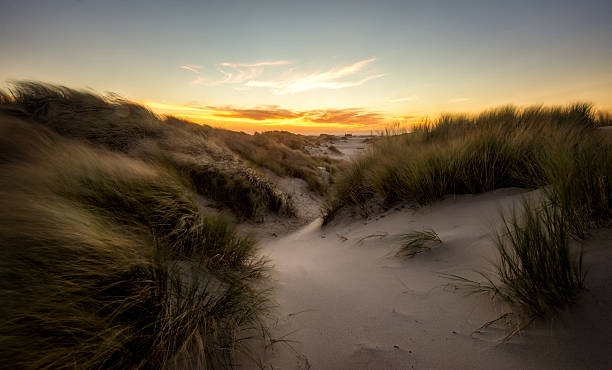 istock Orange sunset above grassy sanddunes 615596290