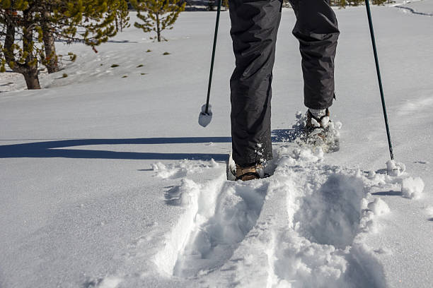 Horizontal image of person snowshoeing and leaving deep foot prints and tracks in fresh, soft, Okanagan powder-dry snow.