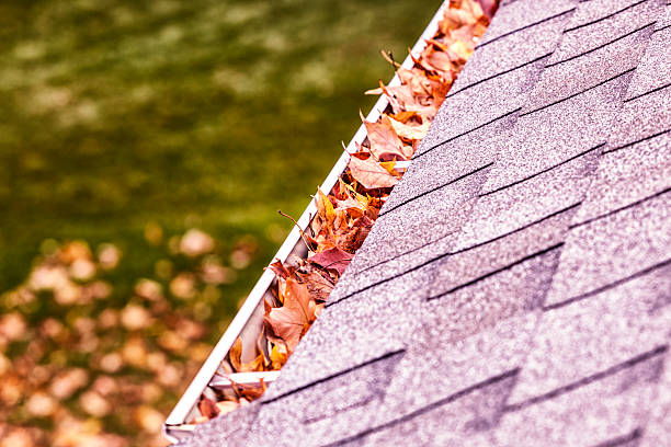 istock Roof Eavestrough Gutter Filled With Autumn Sugar Maple Leaves 615599920